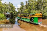 Petualangan Menyusuri Sungai Sekonyer di Taman Nasional Tanjung Puting, Kalimantan