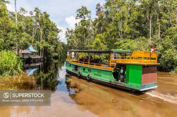 Petualangan Menyusuri Sungai Sekonyer di Taman Nasional Tanjung Puting, Kalimantan