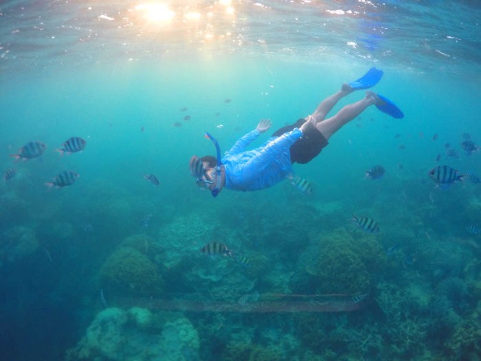 Snorkeling karimunjawa java islands central yay