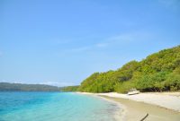 Ujung kulon 4k footages