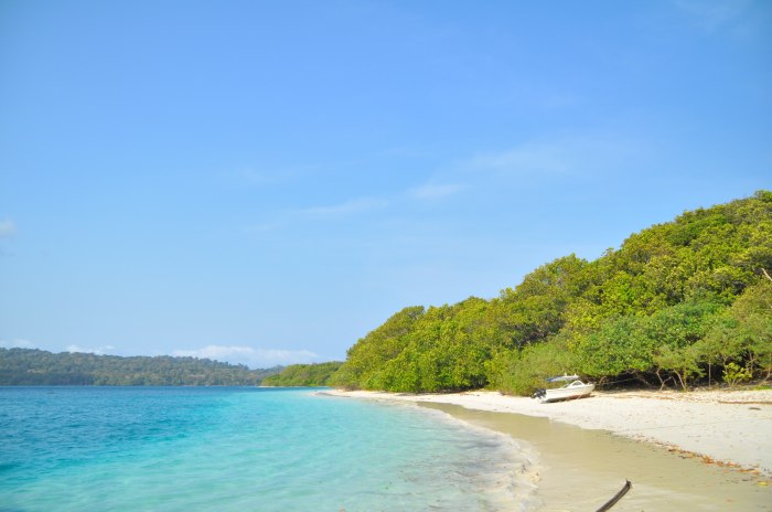 Ujung kulon 4k footages