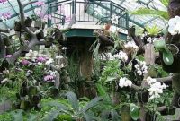 Bogor garden botanical wandernesia jakarta tour indonesia start