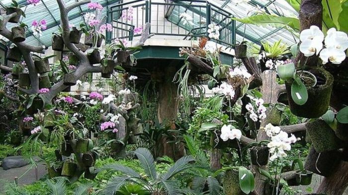 Bogor garden botanical wandernesia jakarta tour indonesia start