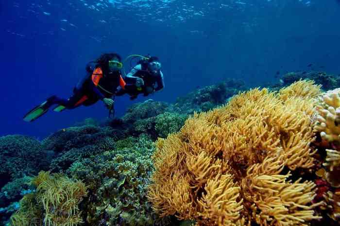 Diving bunaken indonesia island