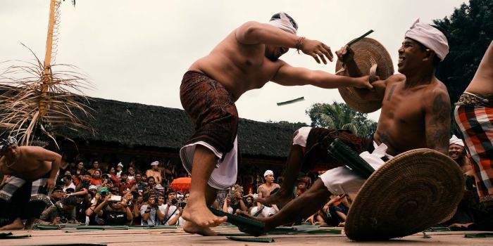 Pandan perang combat ritual bali camaraderie travelogues remotelands lands