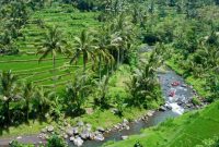 Rafting river ayung bali adventures island experience true operated offer