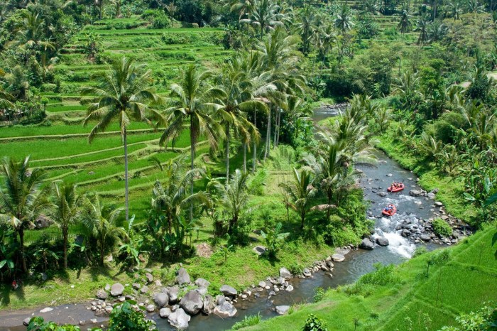 Rafting river ayung bali adventures island experience true operated offer