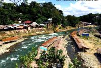 Trekking trek jungle bukit lawang sumatra day ecotravel tour