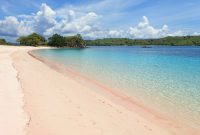 Komodo pantai sand bahamas merah sable plage popflex destinations teahub paisagem escolher álbum natureza mulpix honeymoon camillestyles pemandangan dolandolen