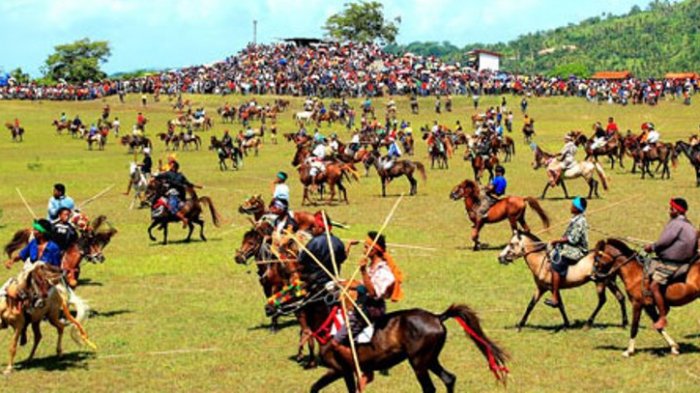 Pasola sumba festival horse tradition fascinating when